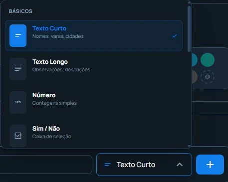 Tipos básicos de campo: Texto Curto, Texto Longo, Número e Sim/Não